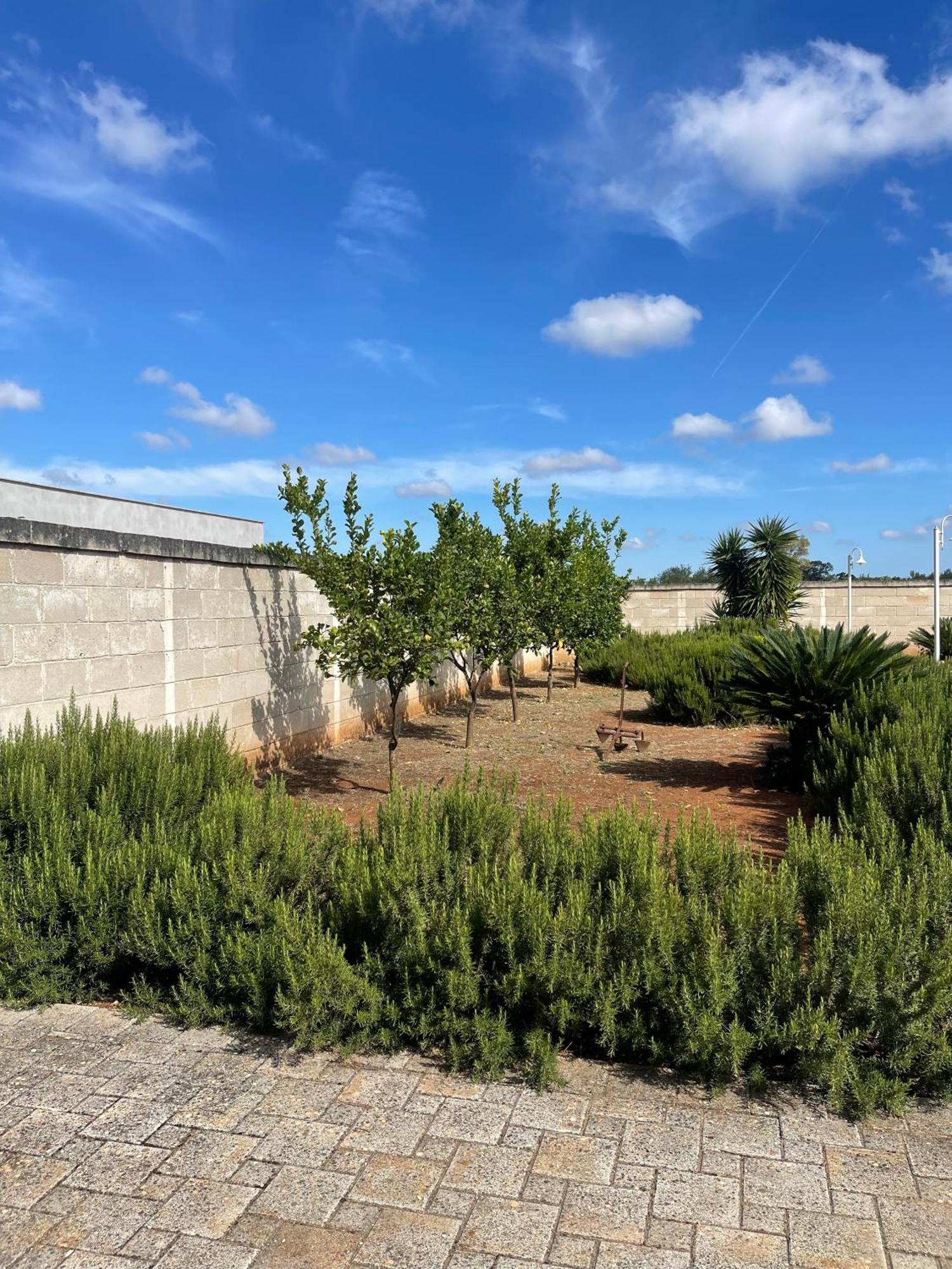 Masseria Don Bonifacio Castellana Grotte Exteriör bild